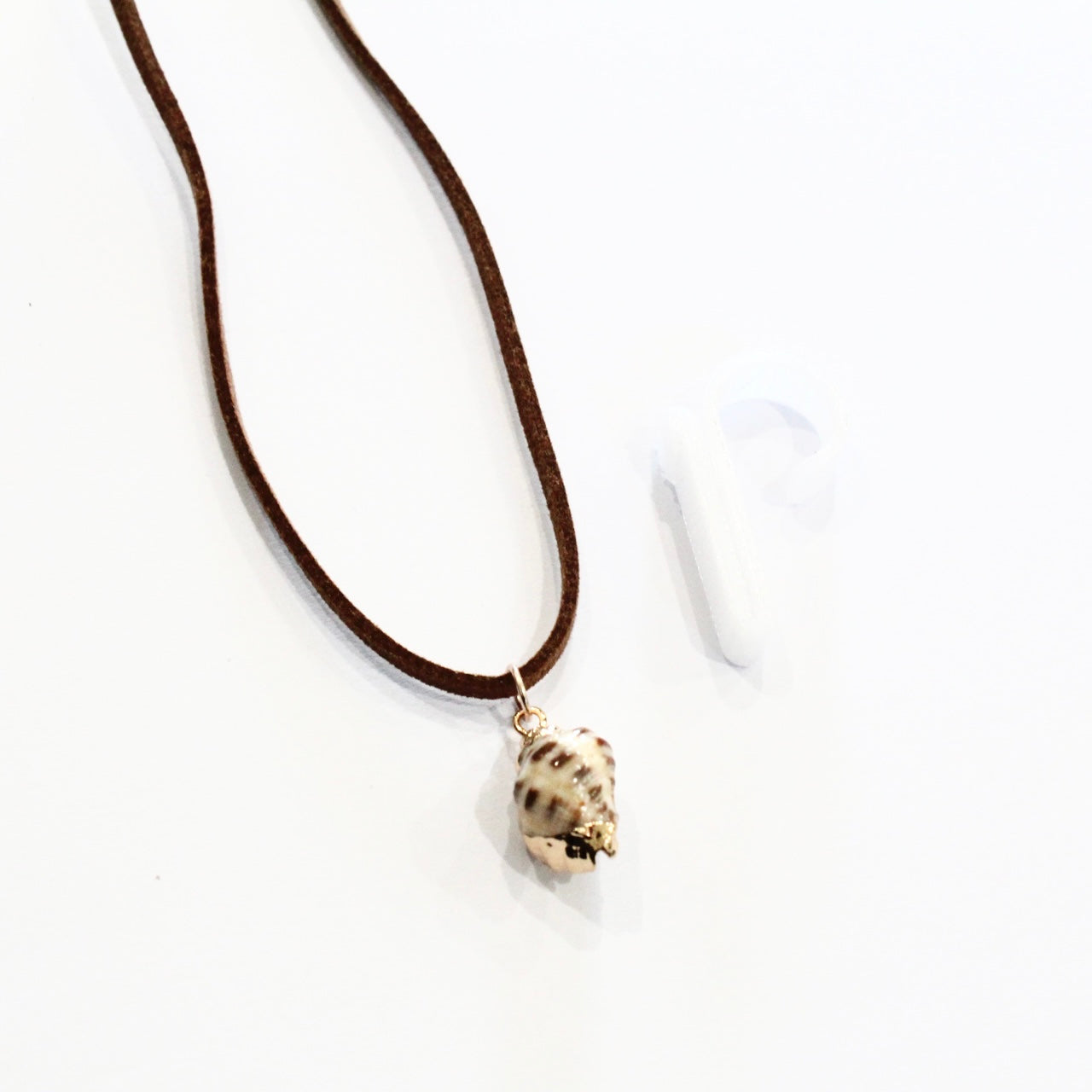 Brown & White Seashell