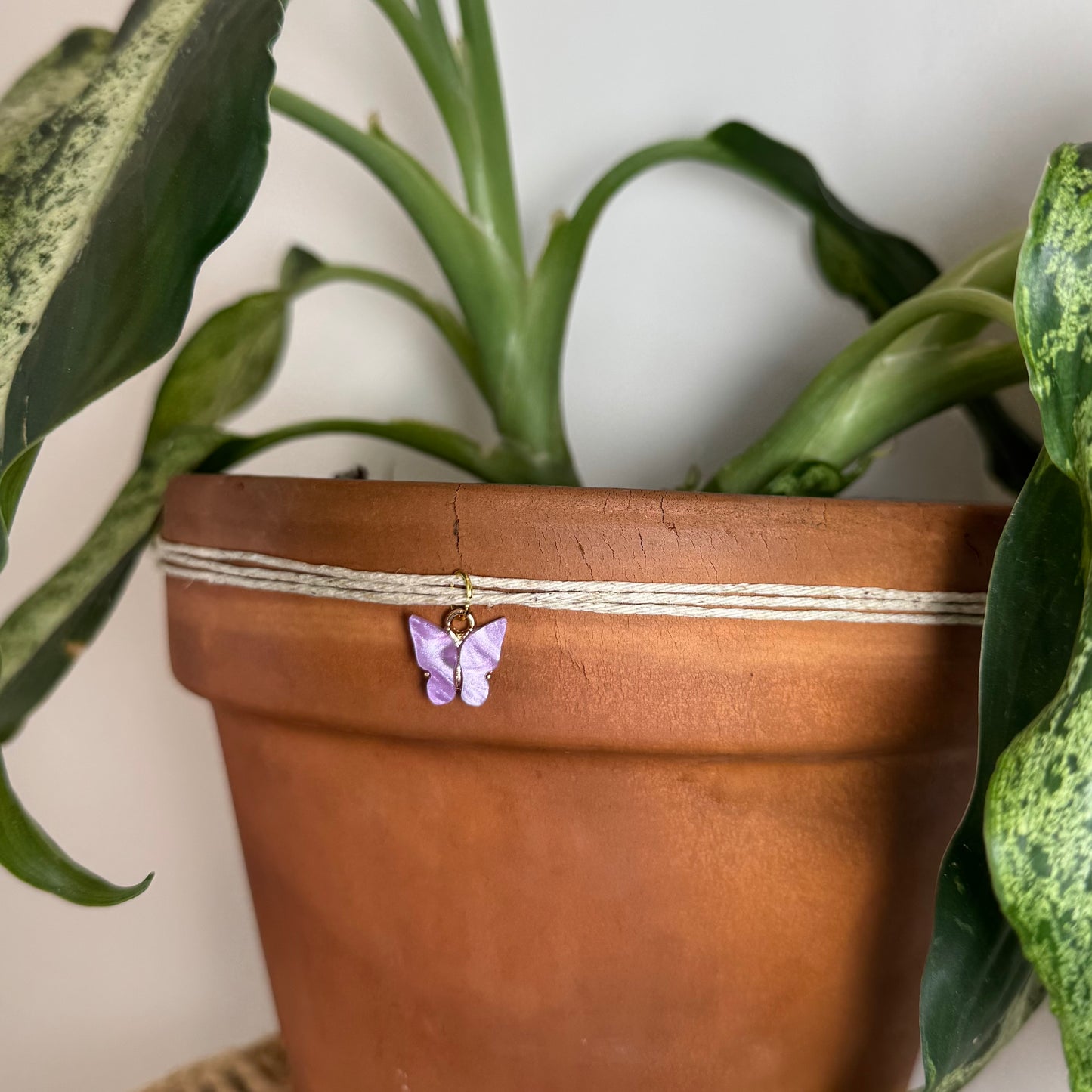 Light Purple Butterfly