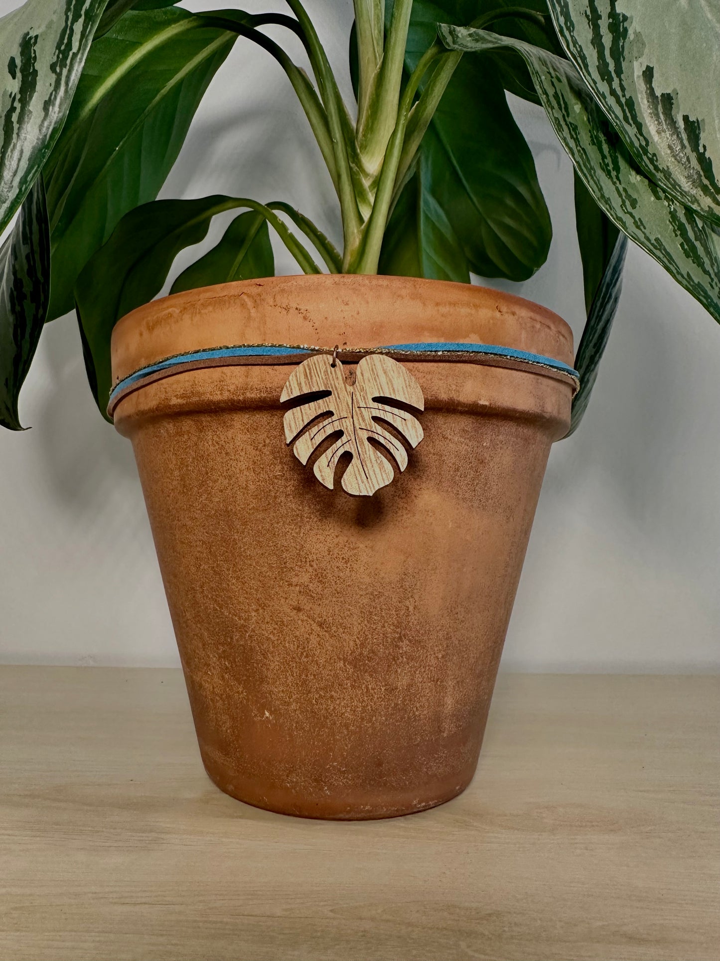 pop of BLUE monstera