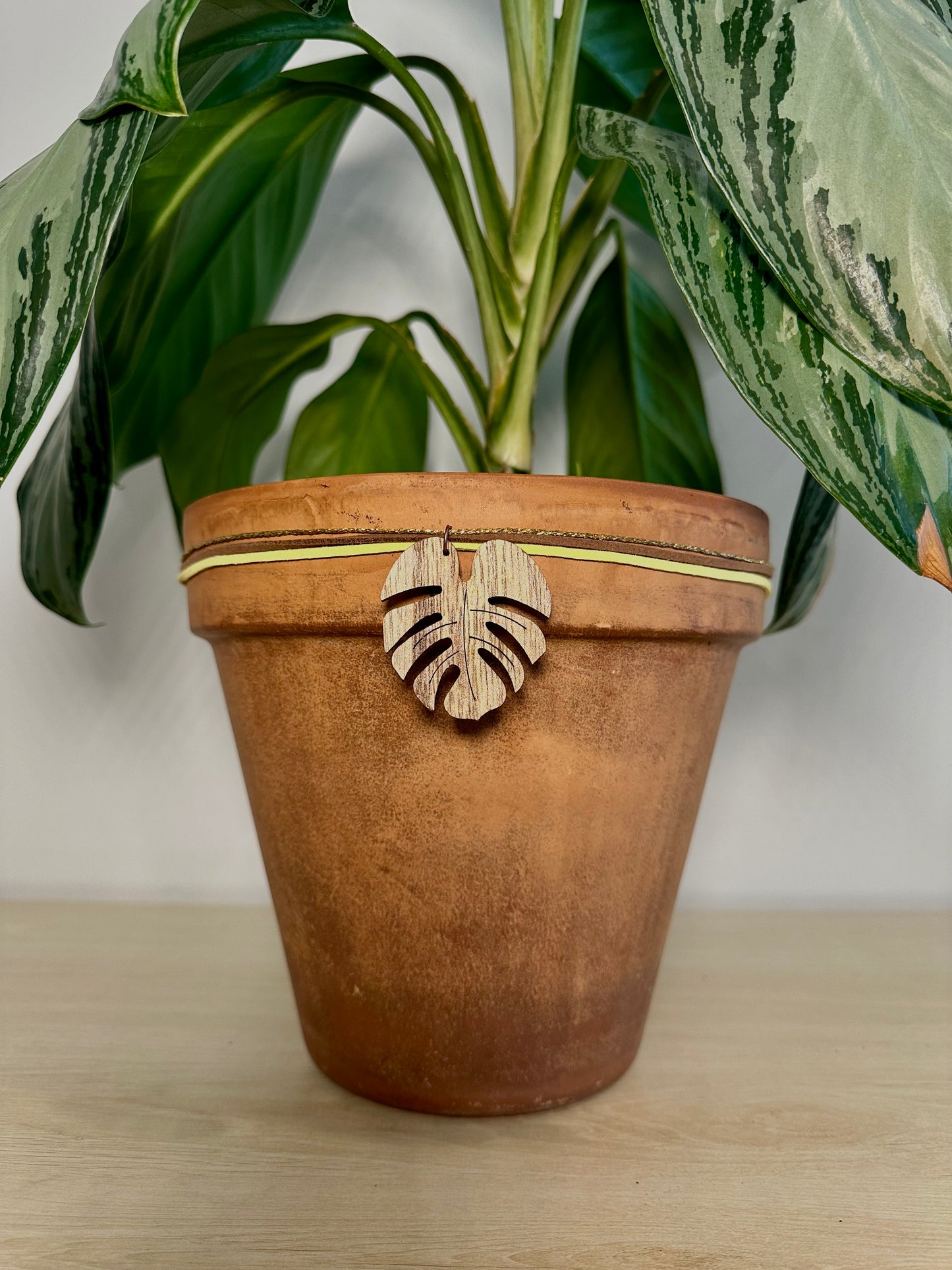 pop of YELLOW monstera