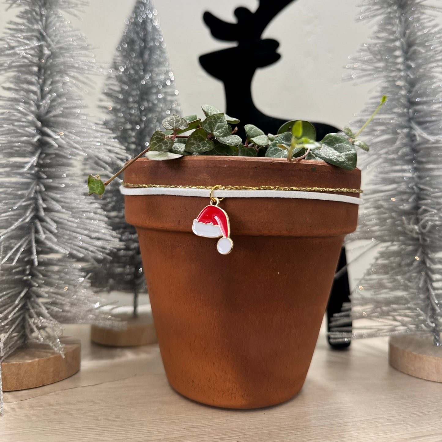 White & Gold Santa Hat