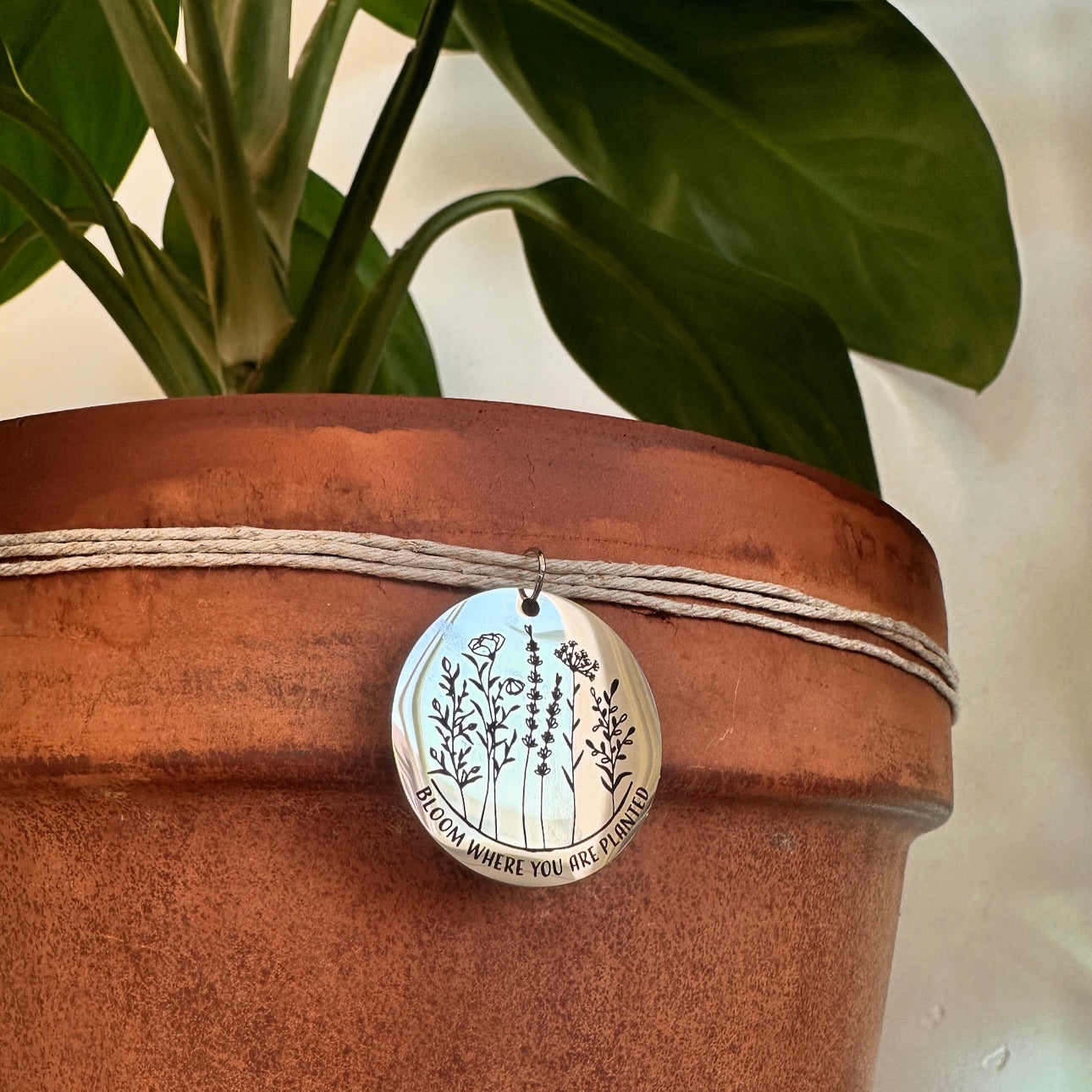 “Bloom Where You Are Planted”