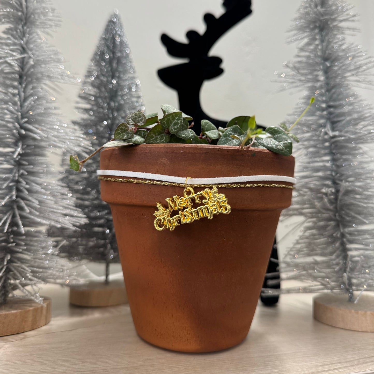 “Merry Christmas”