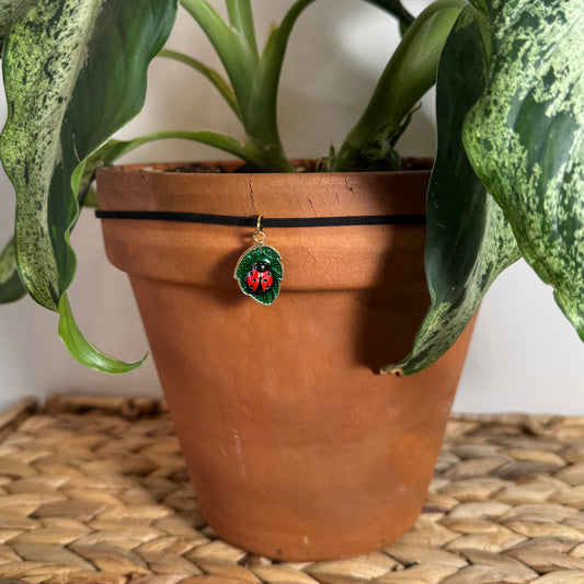 Ladybug on a leaf