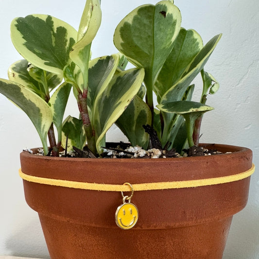 Yellow Smiley Face