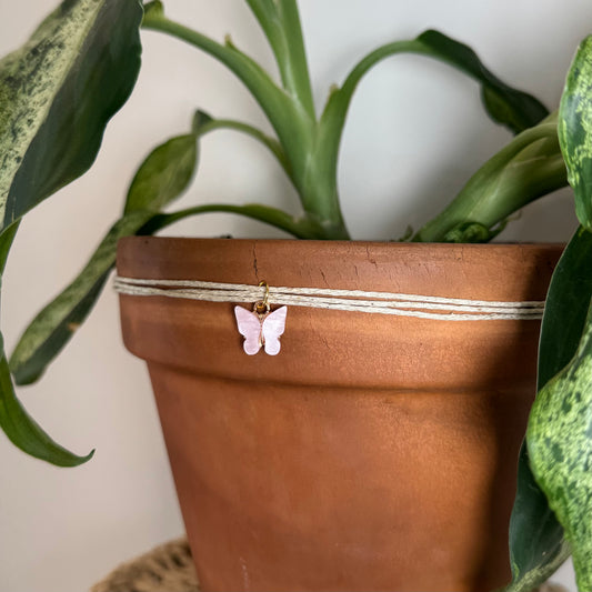 Light Pink Butterfly