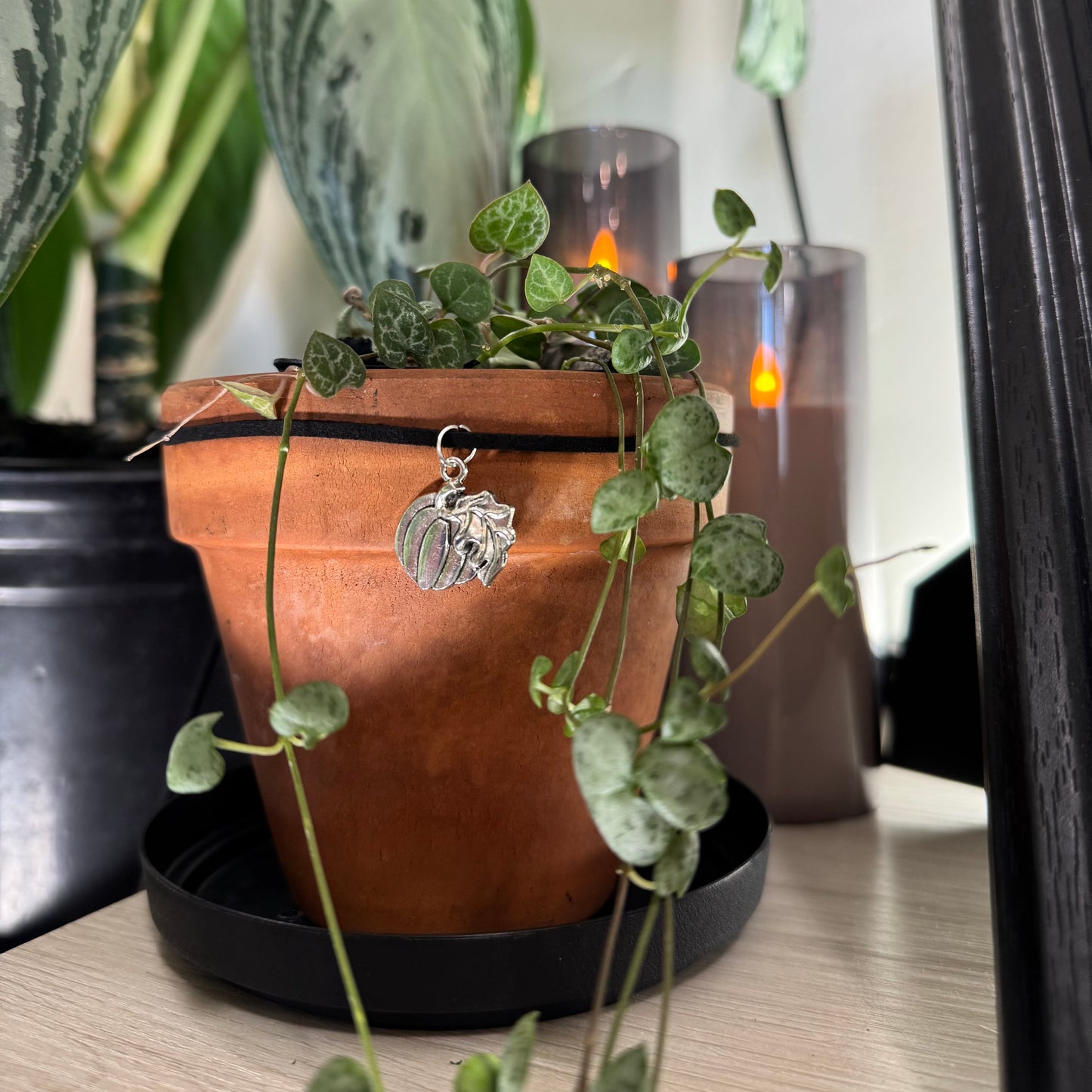 Silver Pumpkin with a Leaf
