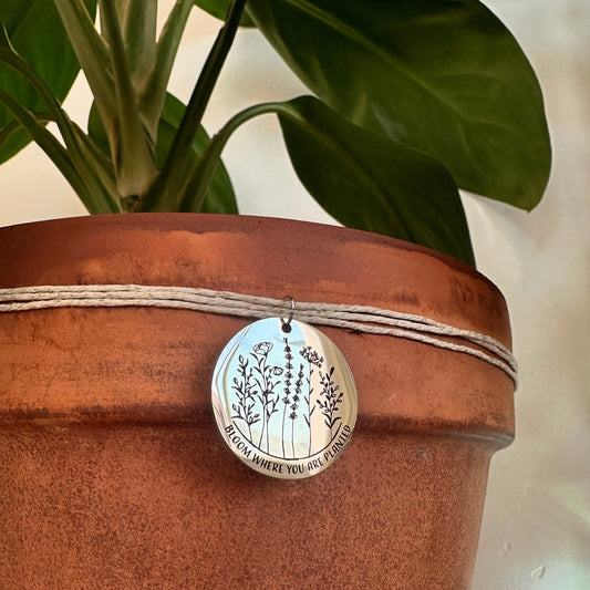 “Bloom Where You Are Planted”