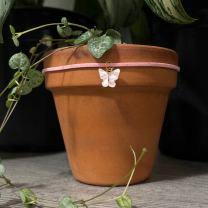 Light Pink Butterfly