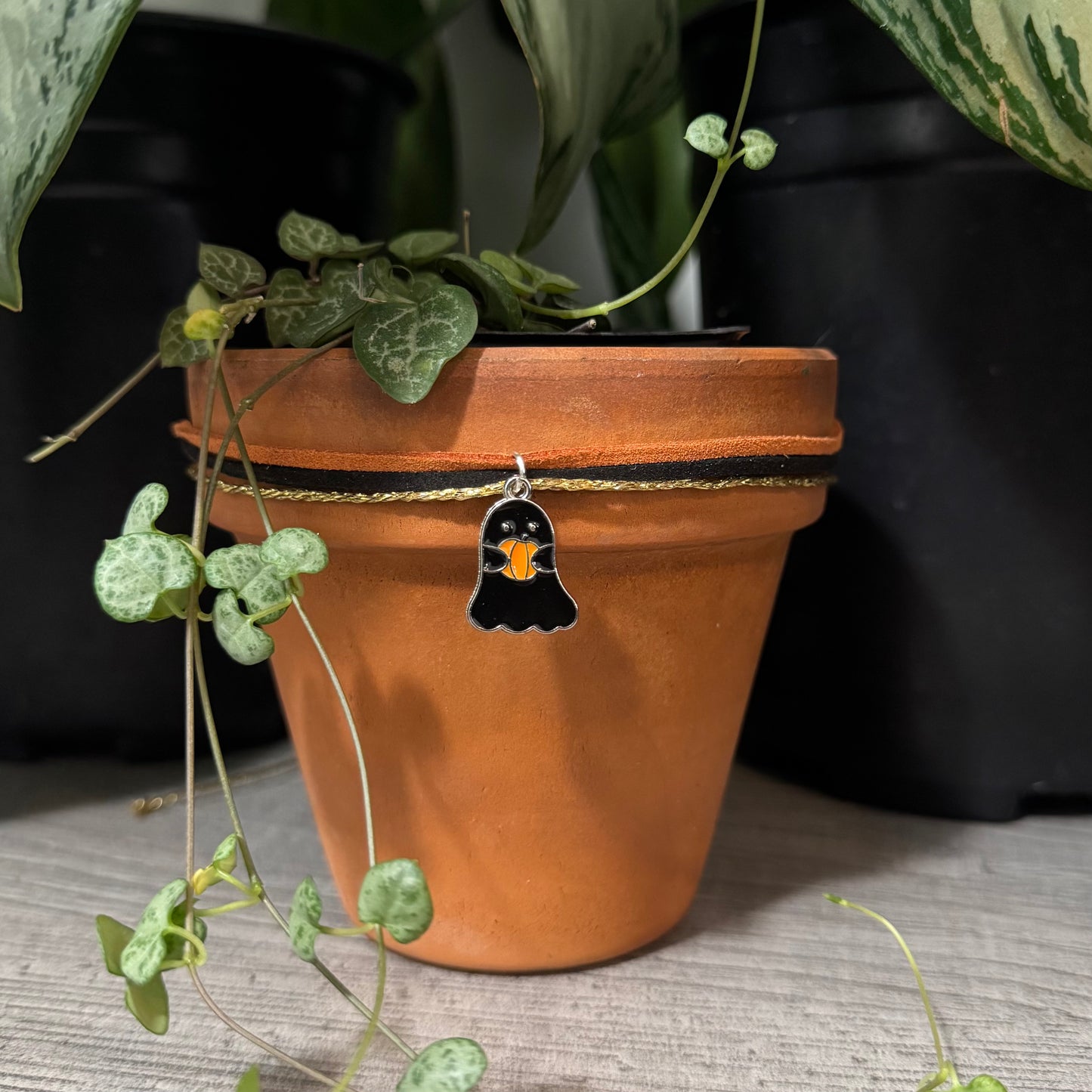 Black Ghost holding a Pumpkin